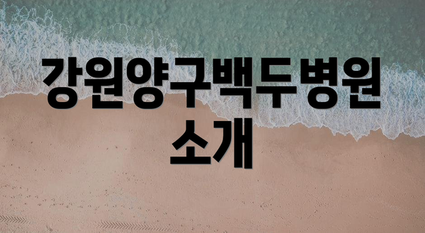 강원양구백두병원 소개
