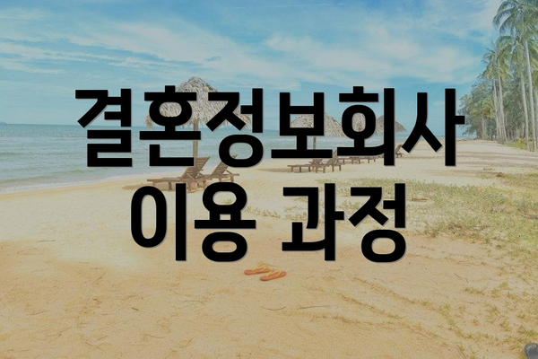 결혼정보회사 이용 과정
