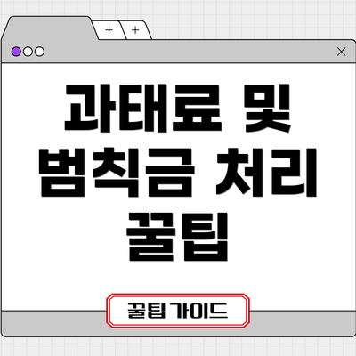 과태료 및 범칙금 처리 꿀팁