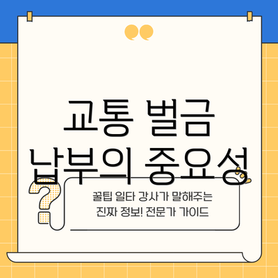 교통 벌금 납부의 중요성