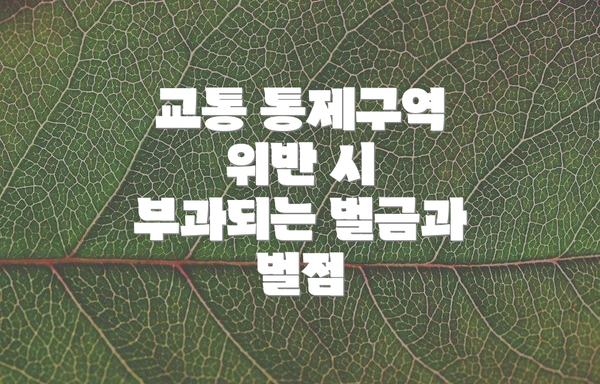 교통 통제구역 위반 시 부과되는 벌금과 벌점