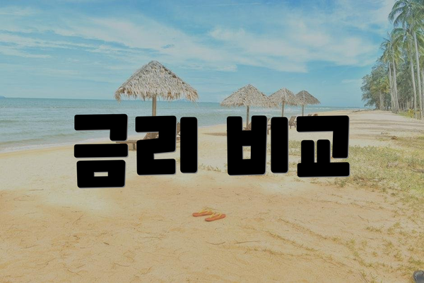 금리 비교