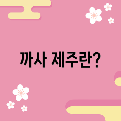 까사 제주란?