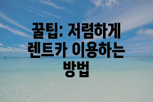 꿀팁: 저렴하게 렌트카 이용하는 방법