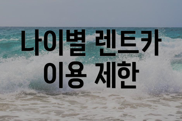 나이별 렌트카 이용 제한