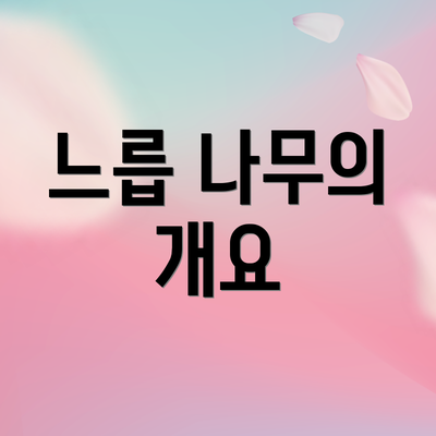 느릅 나무의 개요