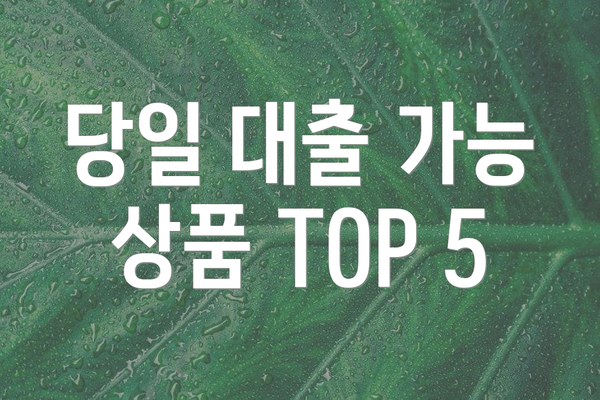 당일 대출 가능 상품 TOP 5