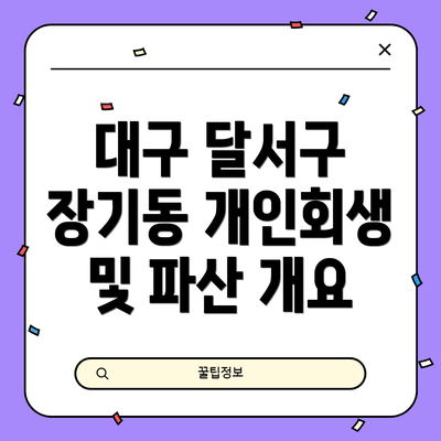 대구 달서구 장기동 개인회생 및 파산 개요