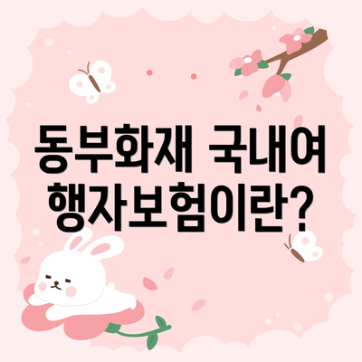 동부화재 국내여행자보험이란?
