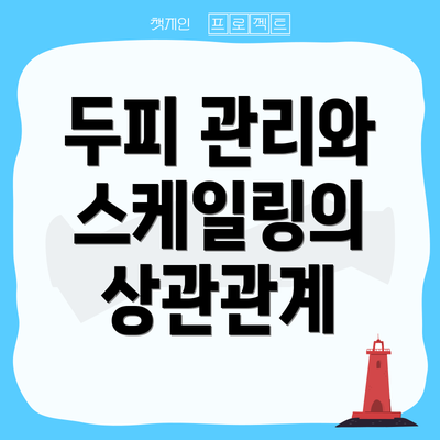 두피 관리와 스케일링의 상관관계