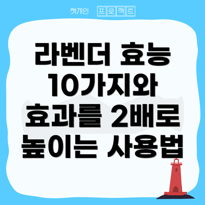 라벤더 효능 10가지와 효과를 2배로 높이는 사용법