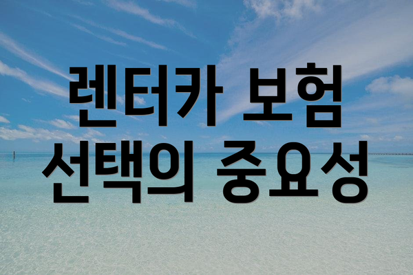 렌터카 보험 선택의 중요성