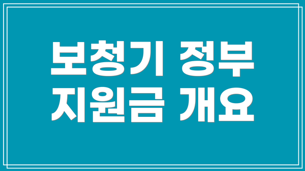 보청기 정부 지원금 개요