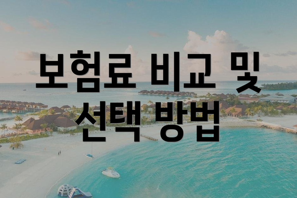 보험료 비교 및 선택 방법