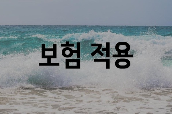 보험 적용