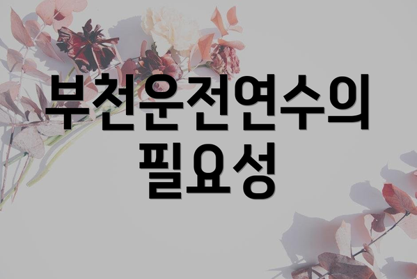 부천운전연수의 필요성