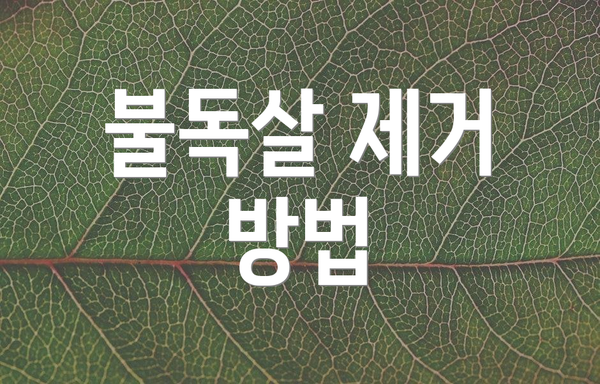 불독살 제거 방법