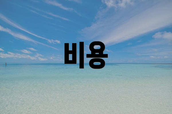 비용