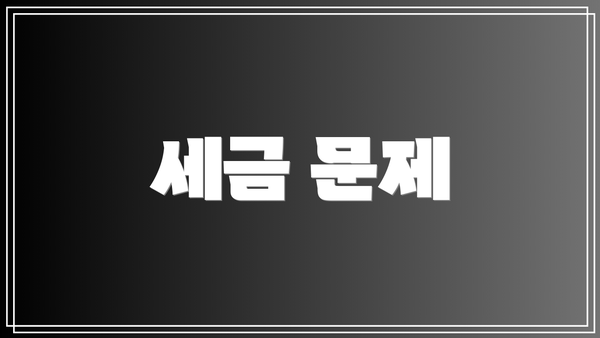 세금 문제