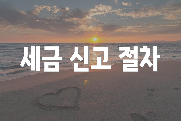 세금 신고 절차