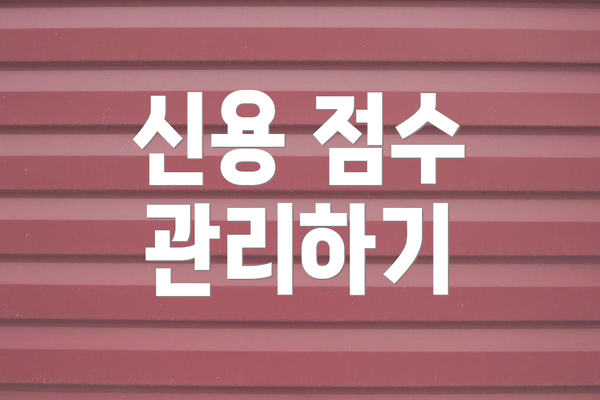 신용 점수 관리하기