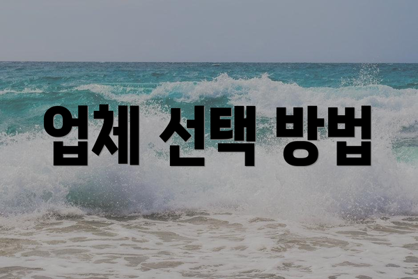 업체 선택 방법