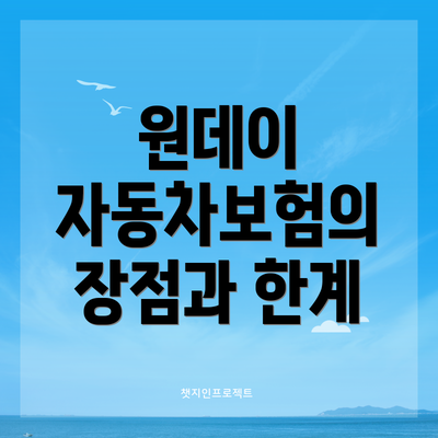 원데이 자동차보험의 장점과 한계