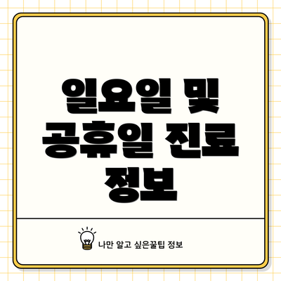 일요일 및 공휴일 진료 정보