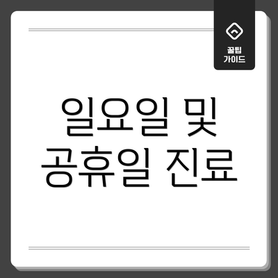 일요일 및 공휴일 진료