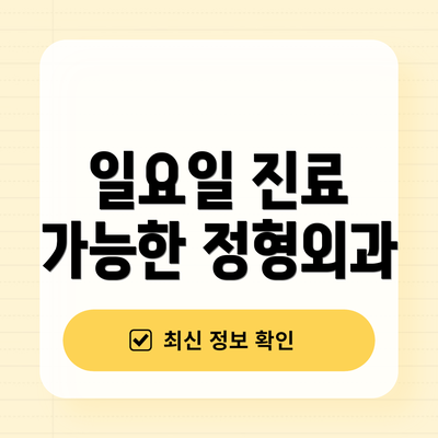 일요일 진료 가능한 정형외과