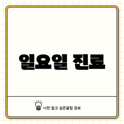 일요일 진료