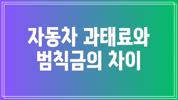 자동차 과태료와 범칙금의 차이