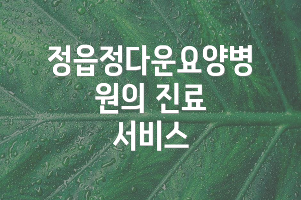 정읍정다운요양병원의 진료 서비스