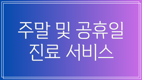 주말 및 공휴일 진료 서비스