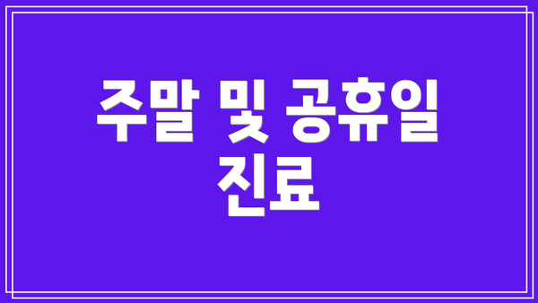 주말 및 공휴일 진료