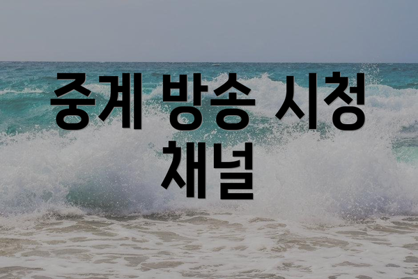 중계 방송 시청 채널