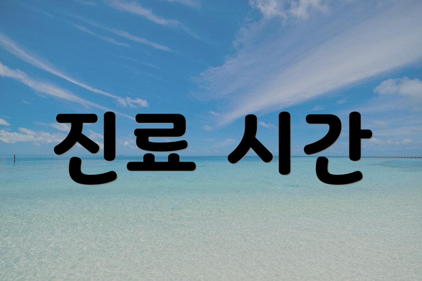 진료 시간