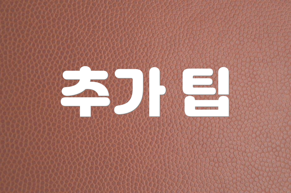 추가 팁