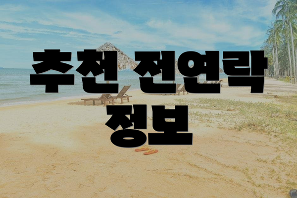 추천 전연락 정보