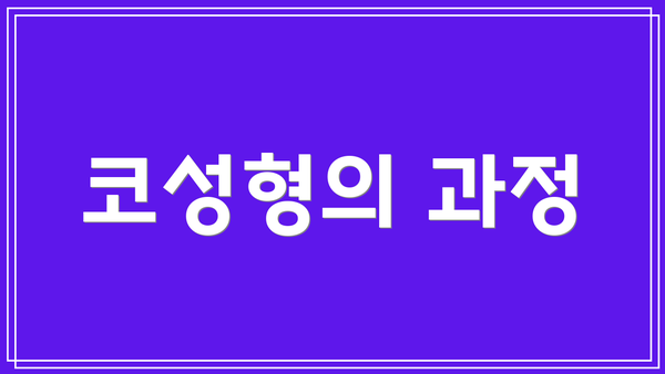 코성형의 과정