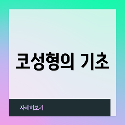 코성형의 기초