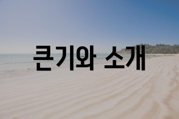 큰기와 소개