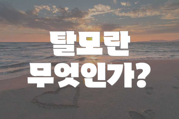 탈모란 무엇인가?