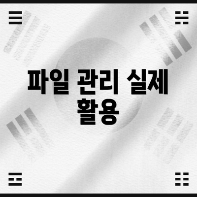 파일 관리 실제 활용