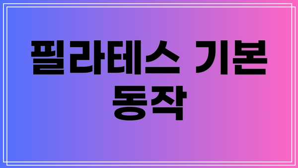 필라테스 기본 동작