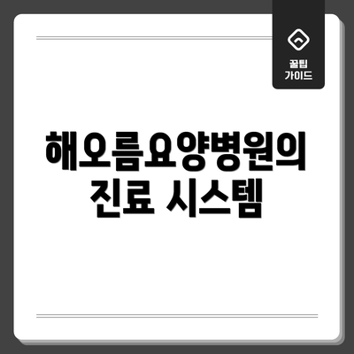 해오름요양병원의 진료 시스템