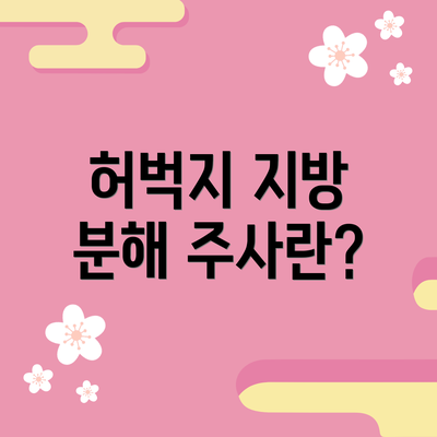 허벅지 지방 분해 주사란?