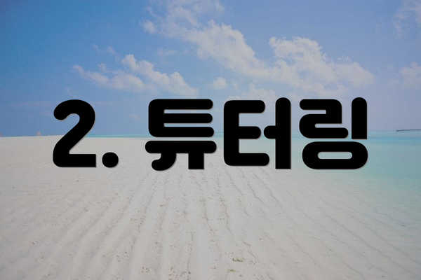 2. 튜터링
