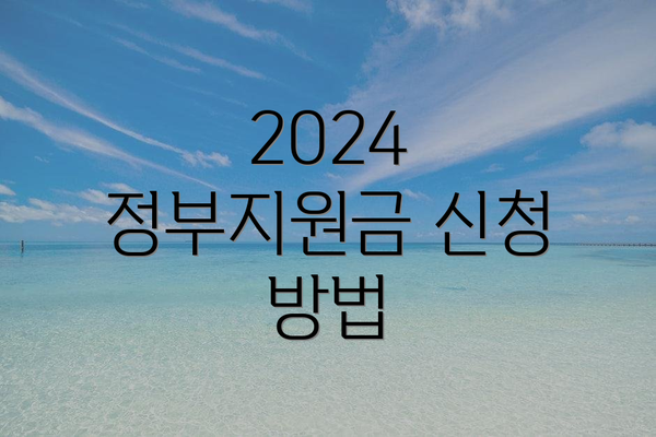 2024 정부지원금 신청 방법