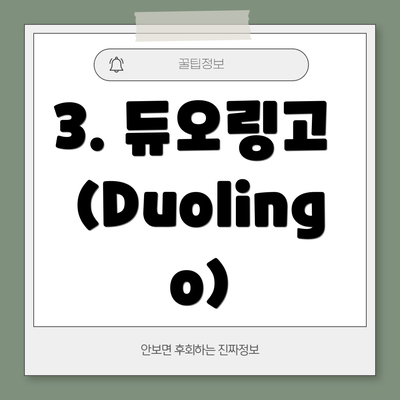 3. 듀오링고 (Duolingo)